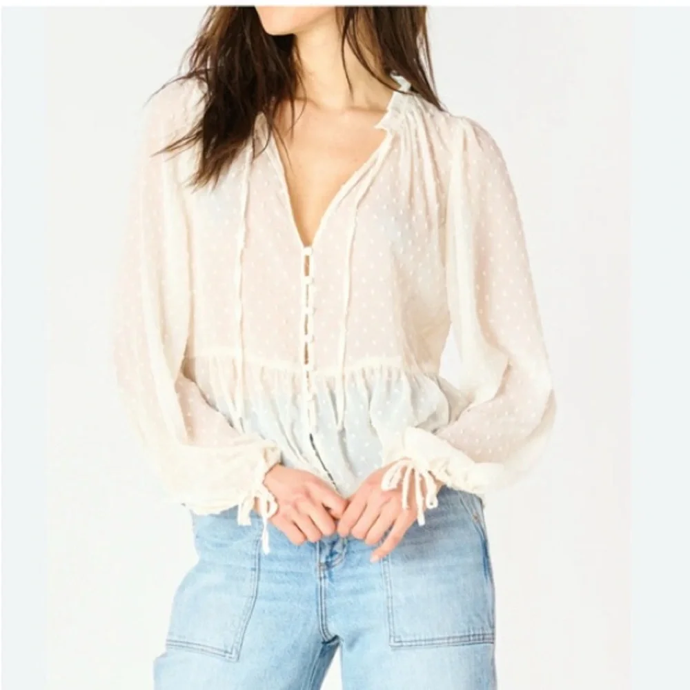 Zara Swiss Dot Sheer Button Down Blouse - Picture 3 of 11